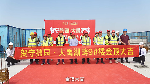 守拙园大禹湖畔9#楼喜封金顶