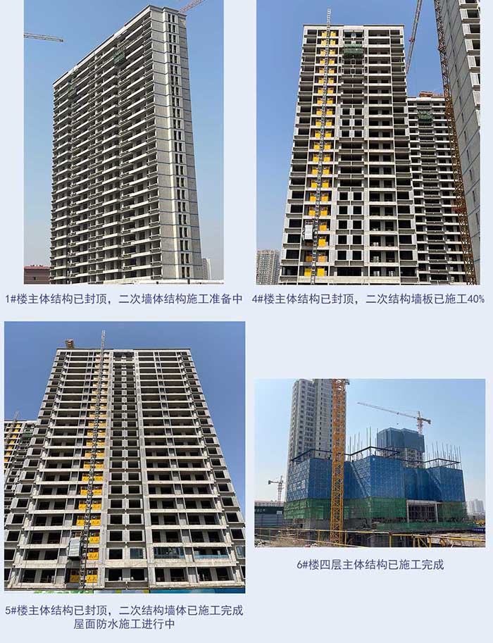 组图1